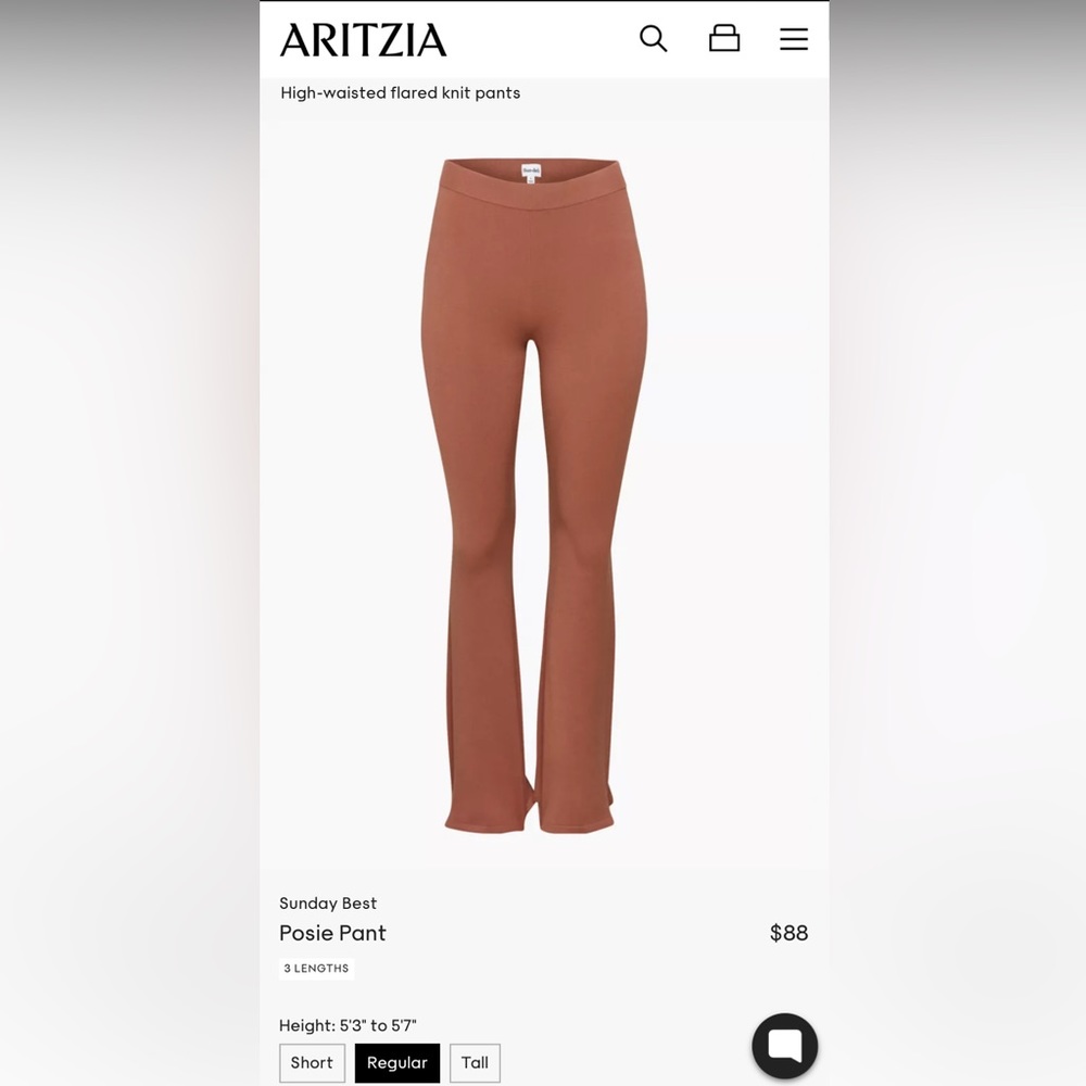 Aritzia Posie Pants Sunday Best